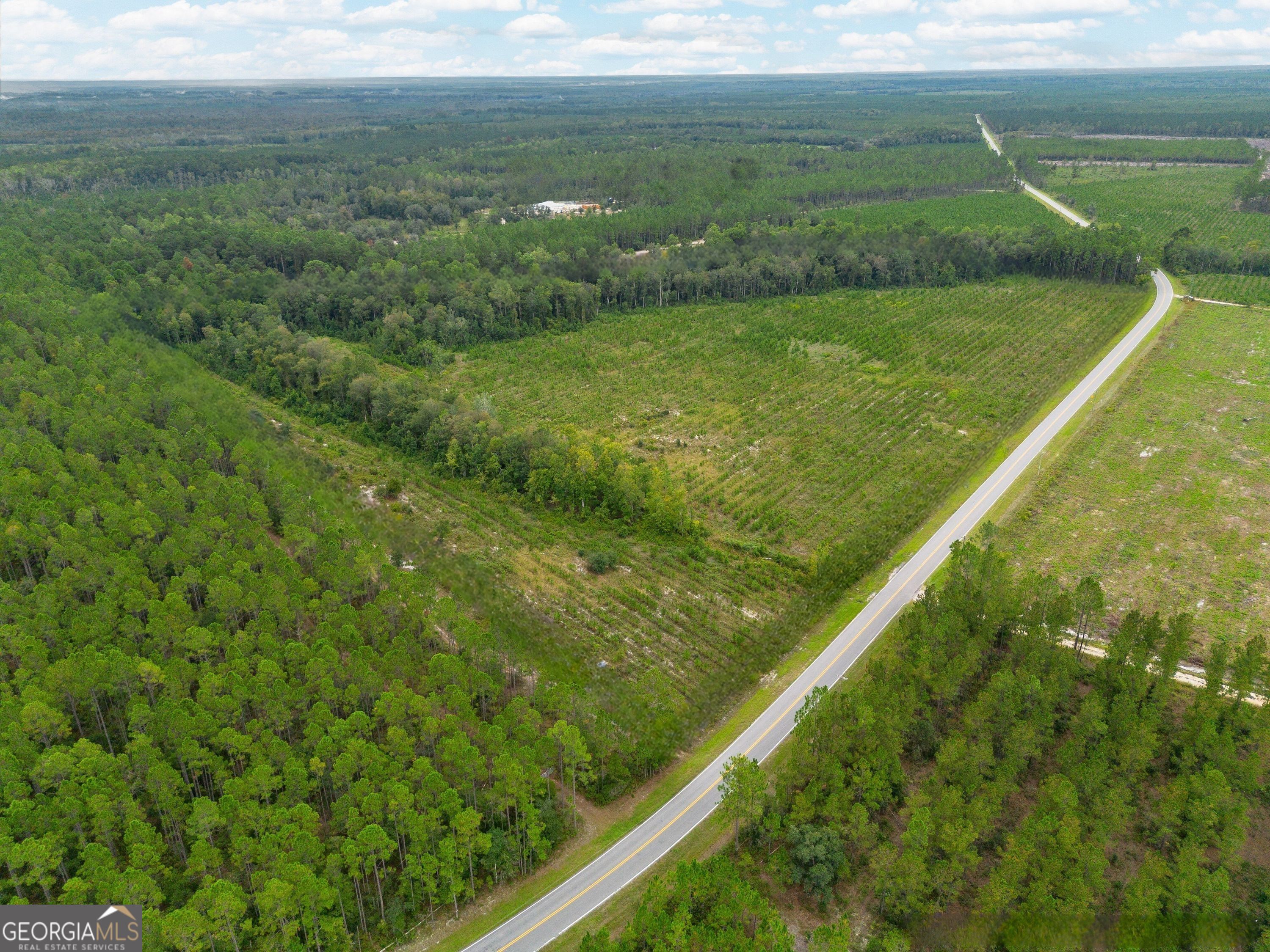 Tract 7 River Road Folkston, GA 31537 - Photo 2 of 8