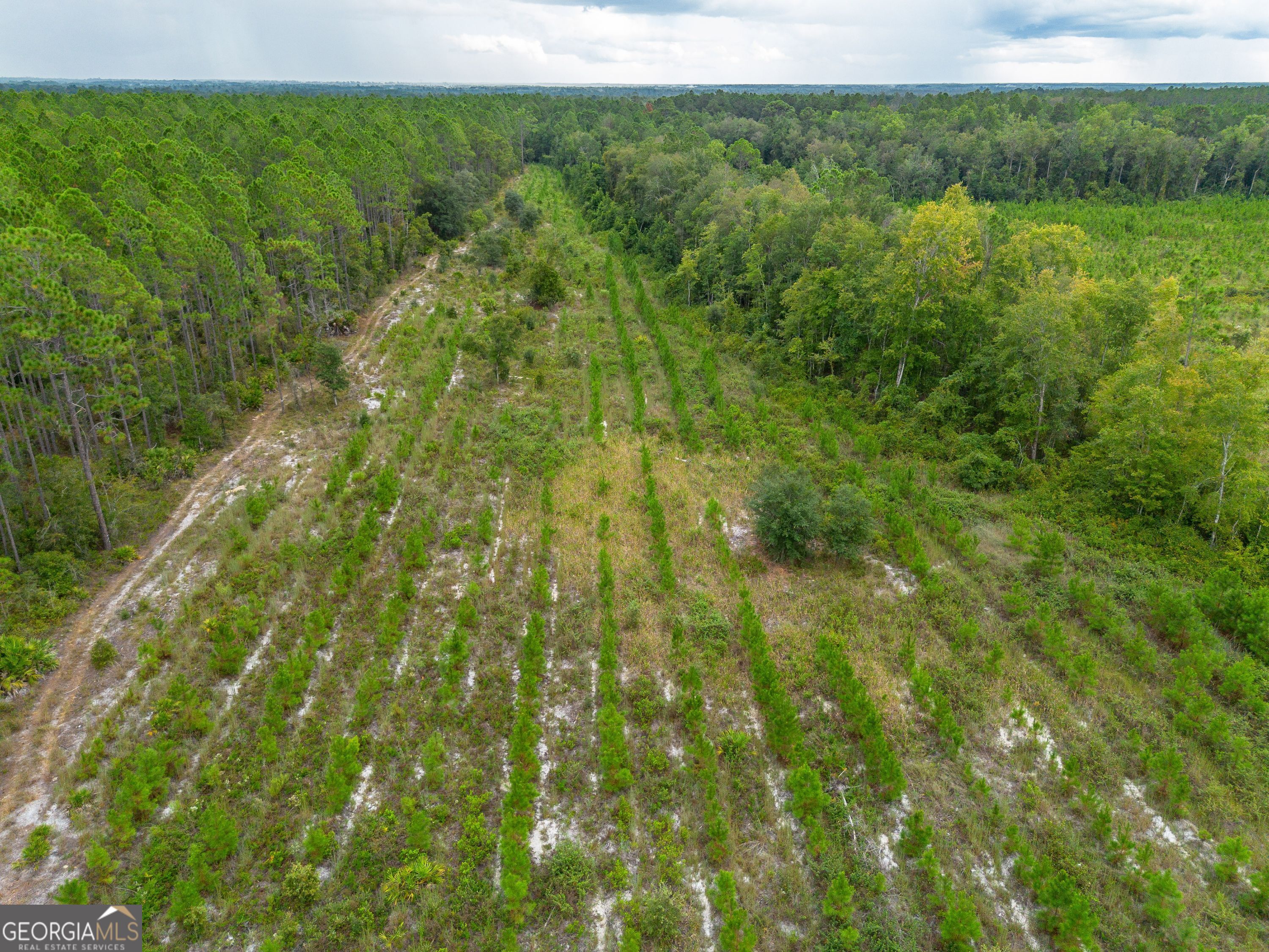 Tract 7 River Road Folkston, GA 31537 - Photo 3 of 8