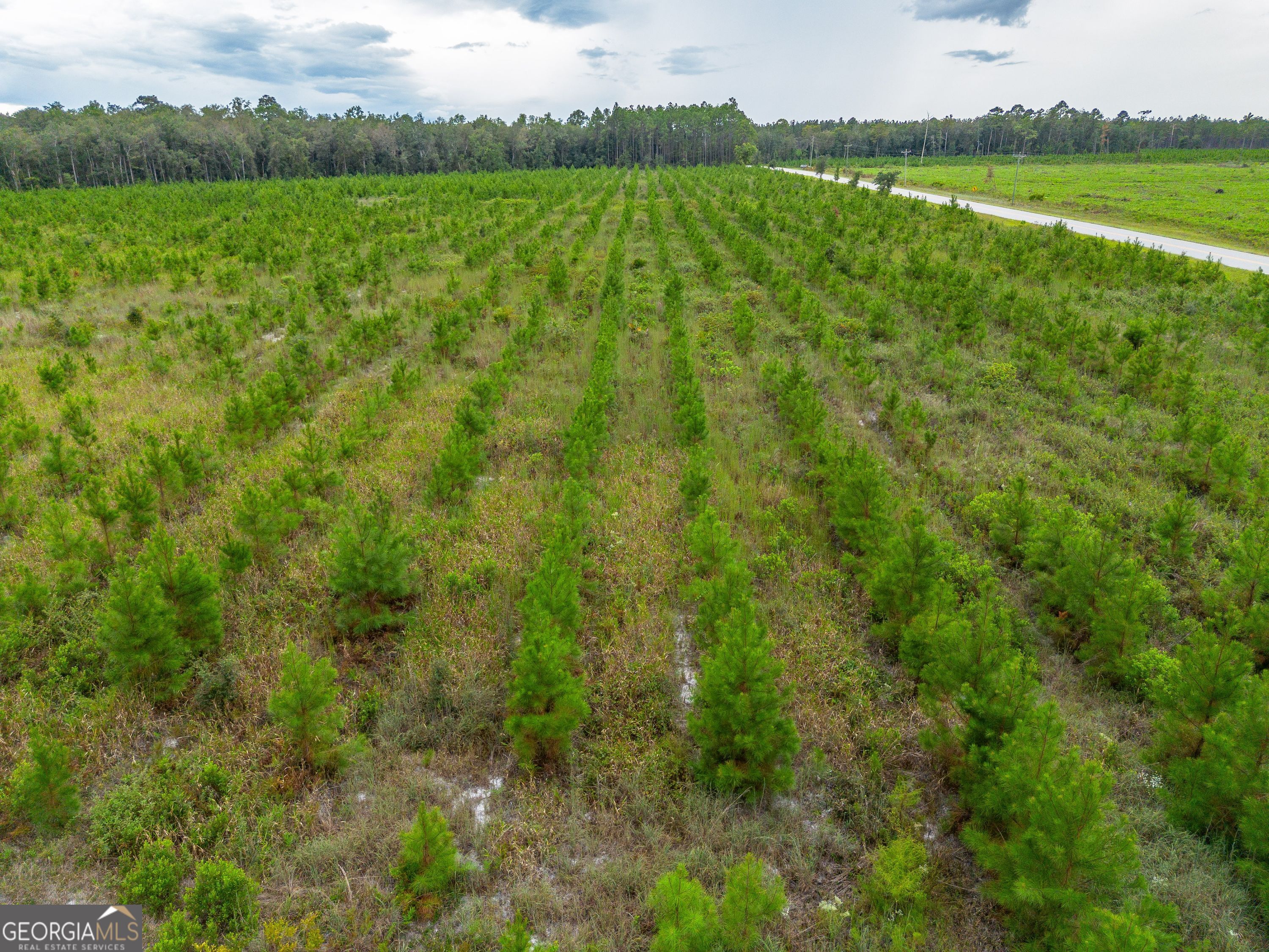 Tract 7 River Road Folkston, GA 31537 - Photo 4 of 8