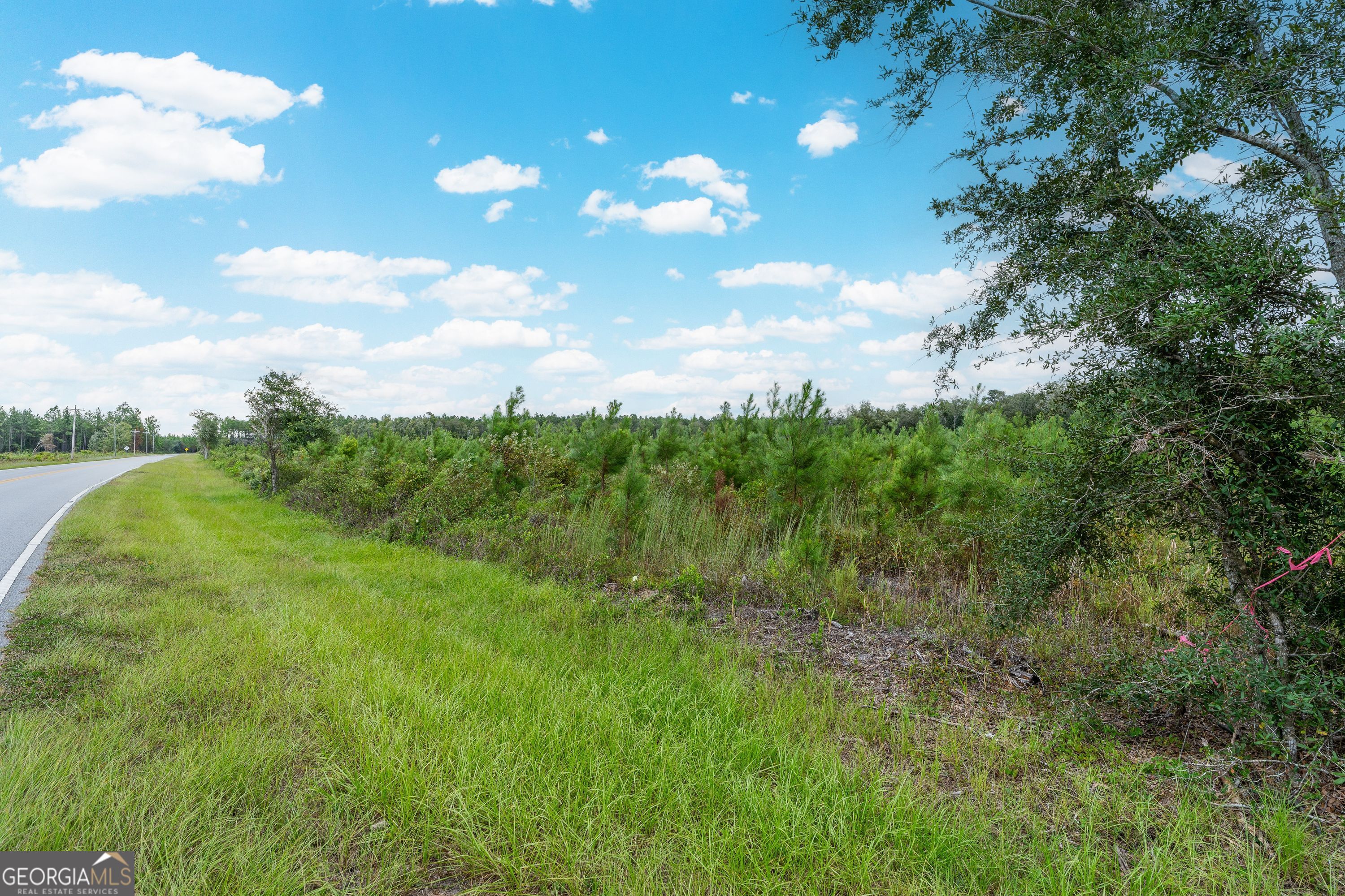 Tract 7 River Road Folkston, GA 31537 - Photo 7 of 8