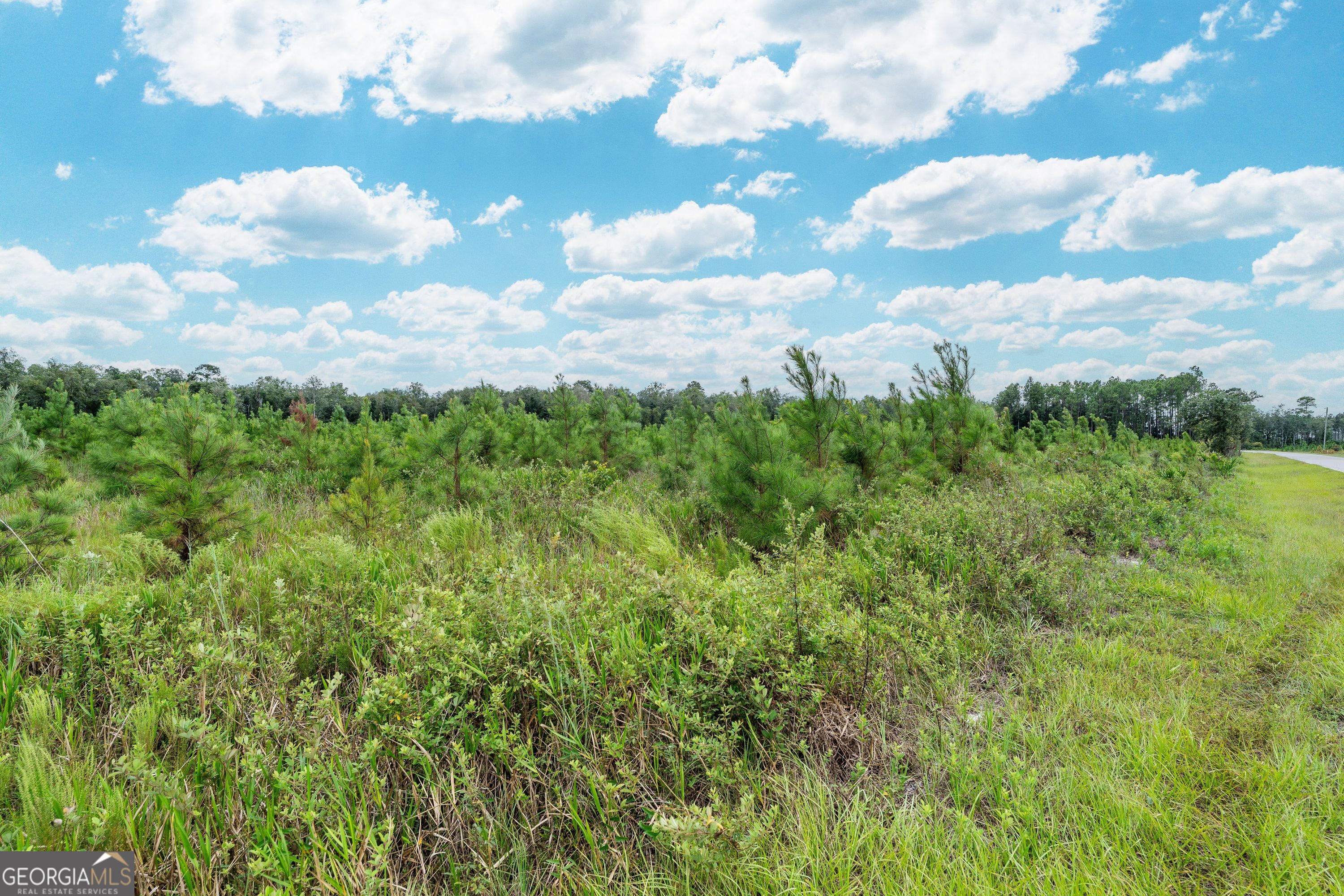Tract 7 River Road Folkston, GA 31537 - Photo 8 of 8