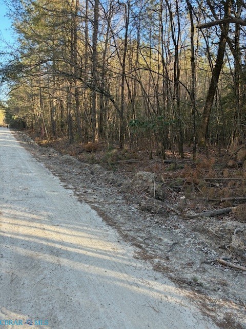 0 Horse Run Road Gloucester, VA 23061 - Photo 3 of 4