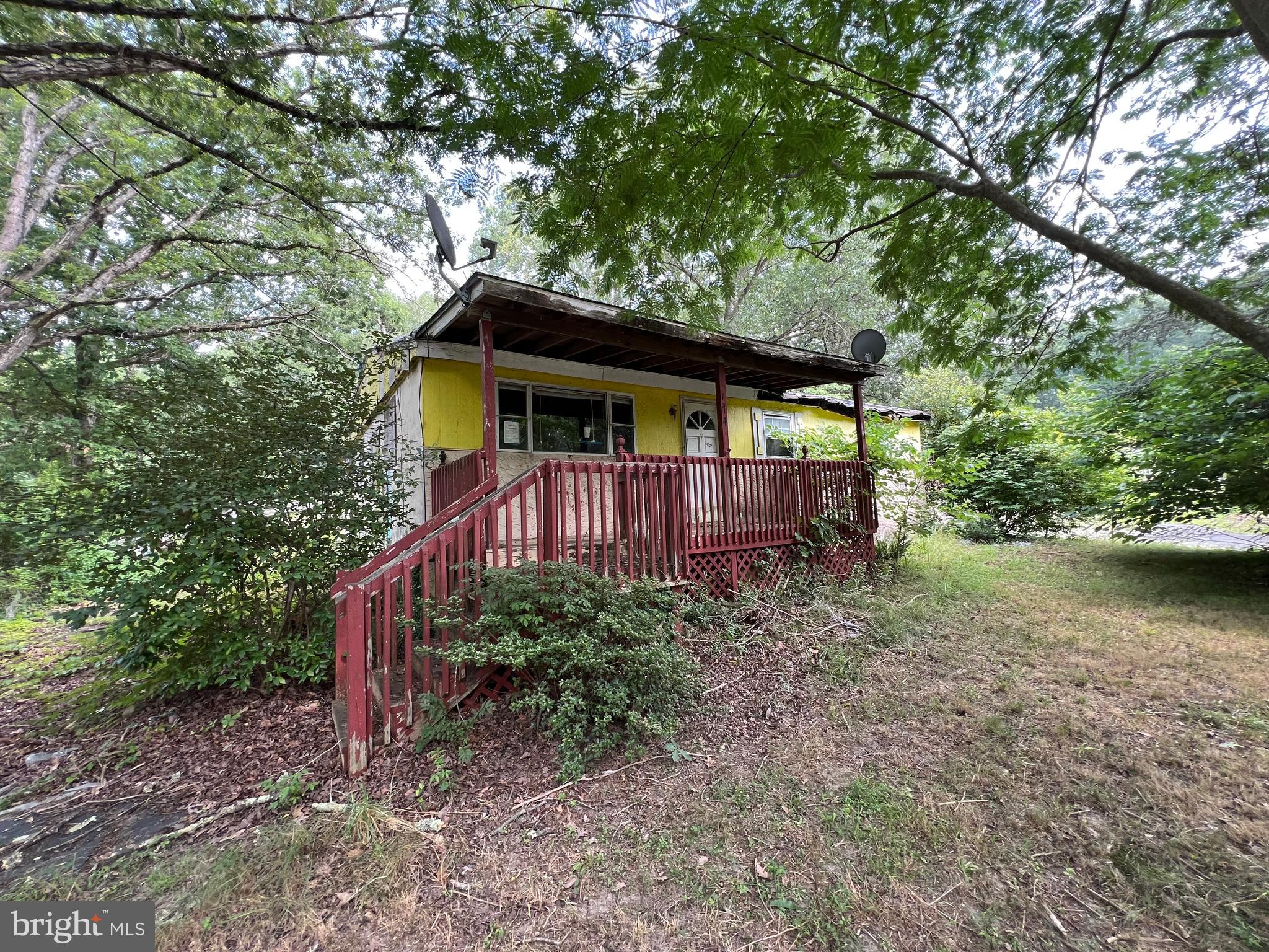 a view of a house with a small yard plants and large tree