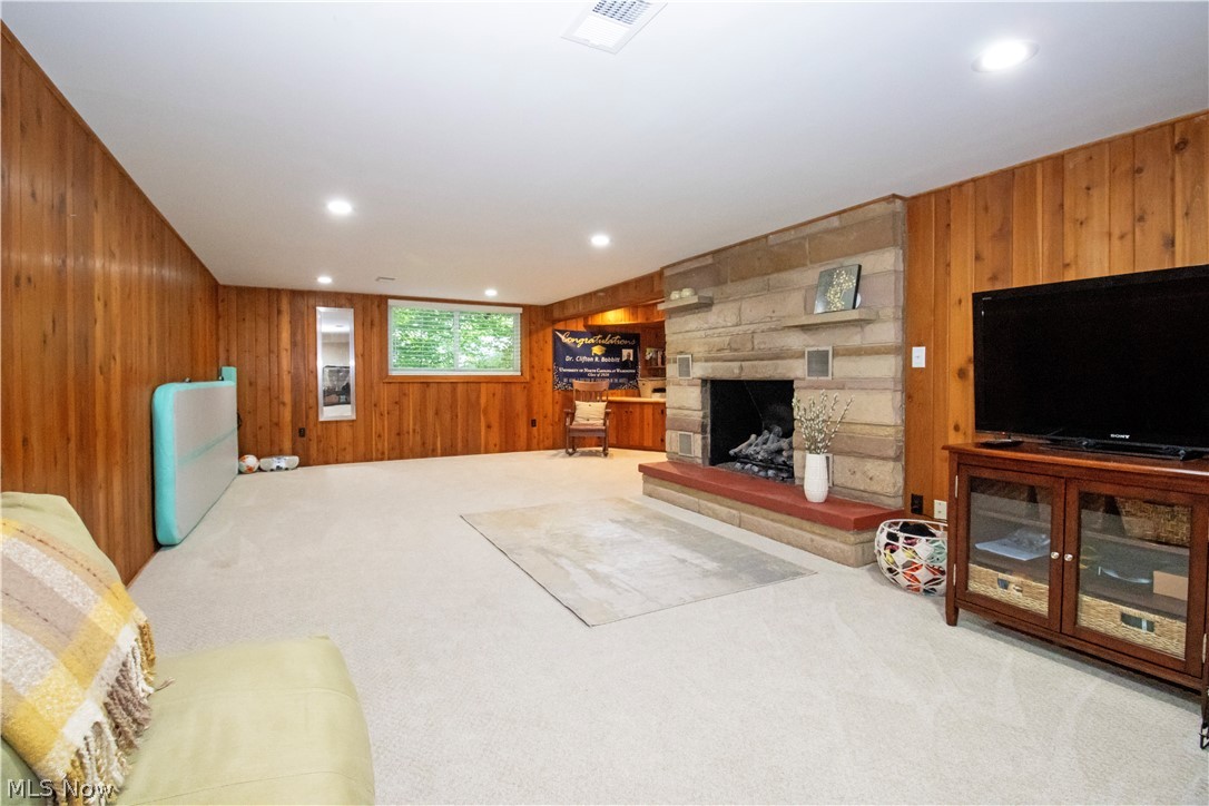 427 Oakley Road Wooster, OH 44691 - Photo 32 of 38 Living room featuring a stone fireplace, carpet, and wooden walls
