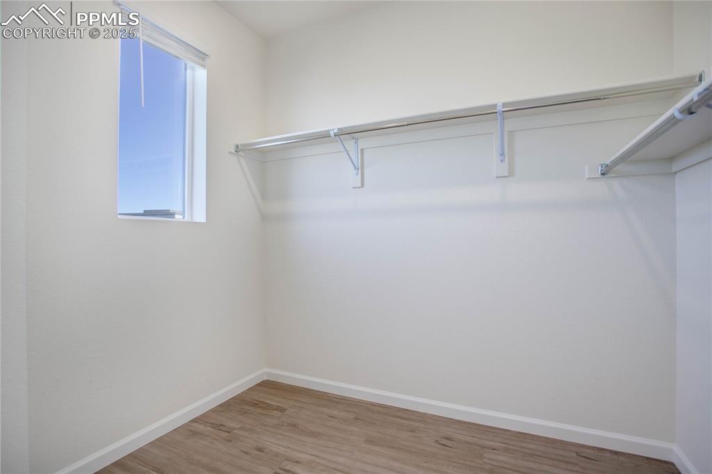 3865 Presidio Point, Unit 101 Colorado Springs, CO 80920 - Photo 14 of 20 a view of an empty walk in closet