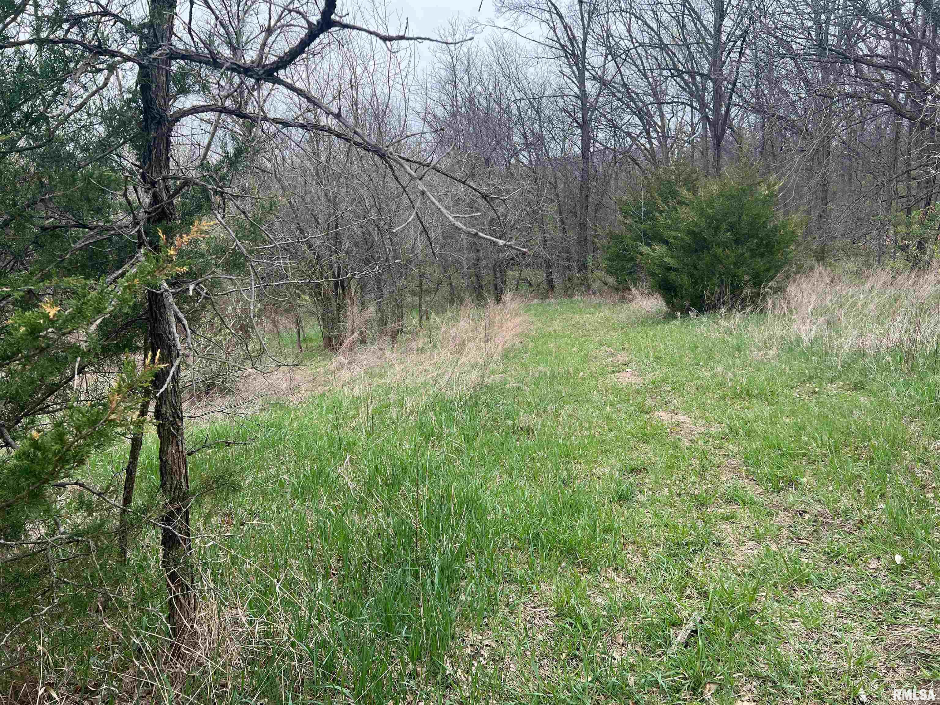 Rr Flower Creek Road Plymouth, IL 62367 - Photo 16 of 30