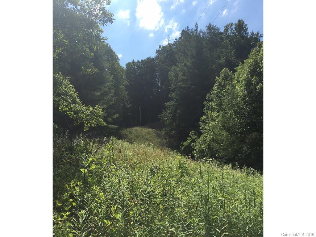 629 Levi Branch Road Marshall, NC 28753 - Photo 1 of 10 Gallery Image 1