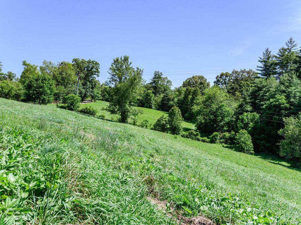 43 Eller Ford Road Weaverville, NC 28787 - Photo 8 of 48 Gallery Image 8
