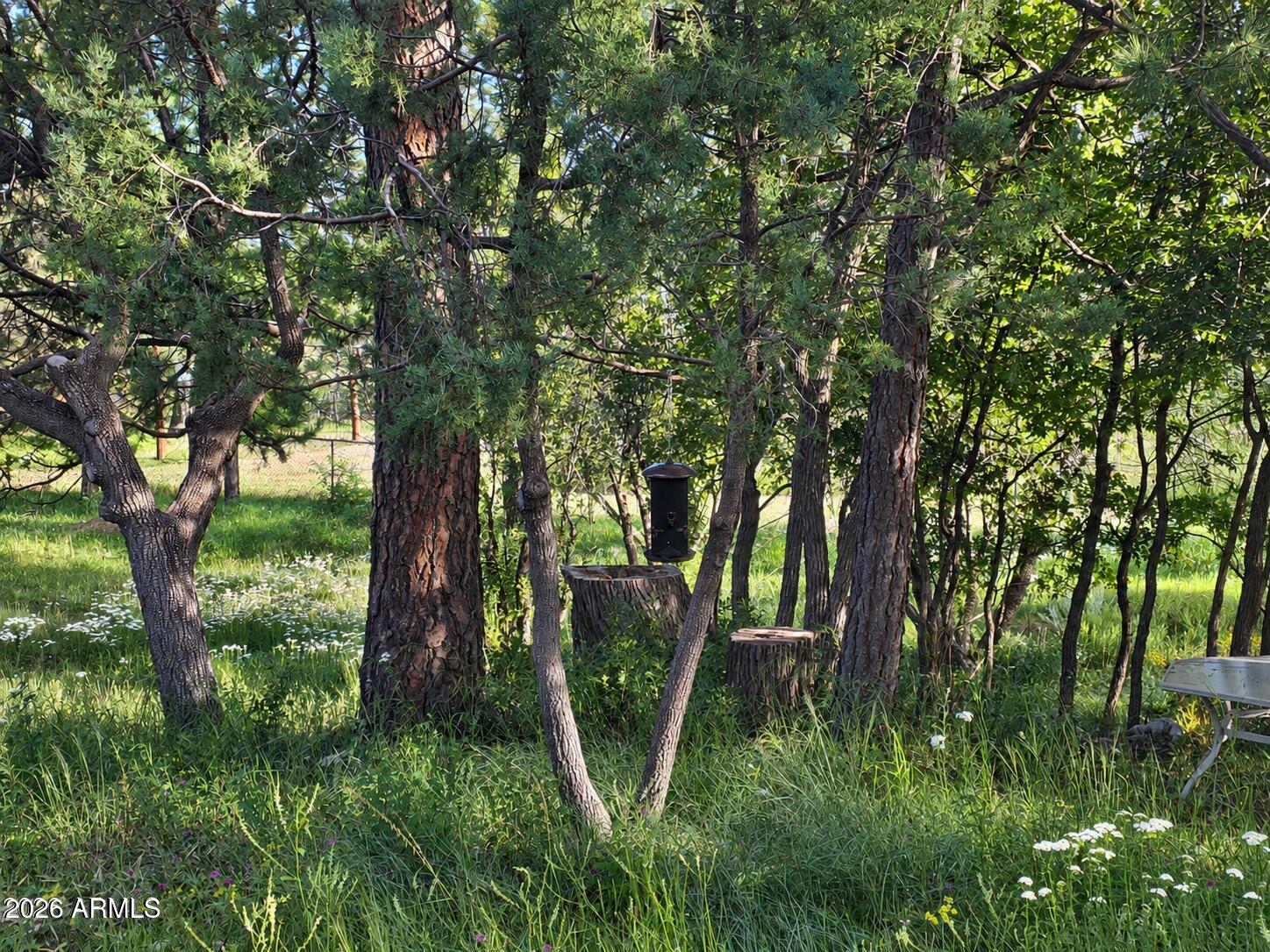 1248 Running Elk Road, Unit 88 Payson, AZ 85541 - Photo 17 of 20 bird feeder 1