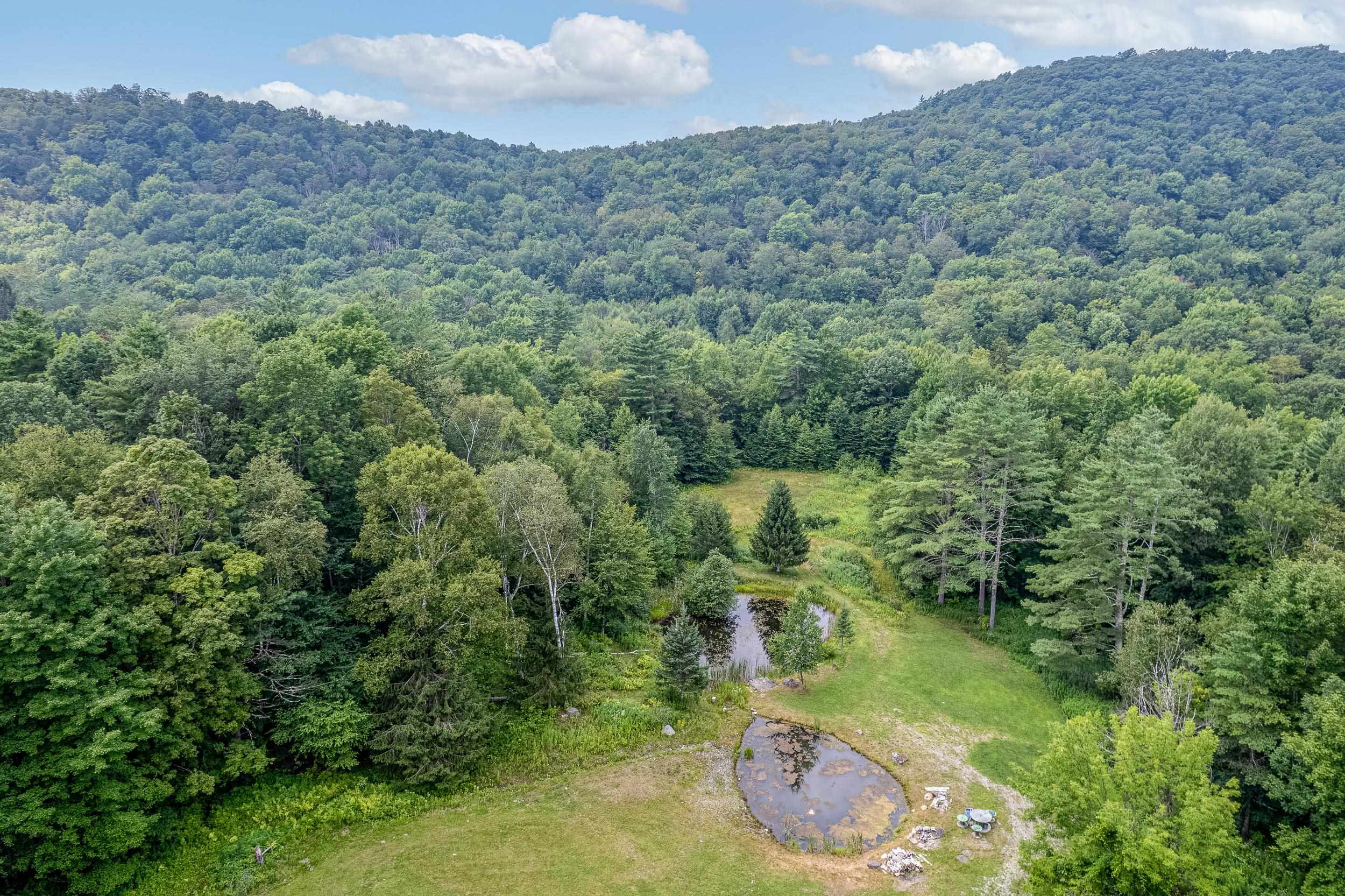 164 Mc Garron Road Middletown Springs, VT 05757 - Photo 8 of 26