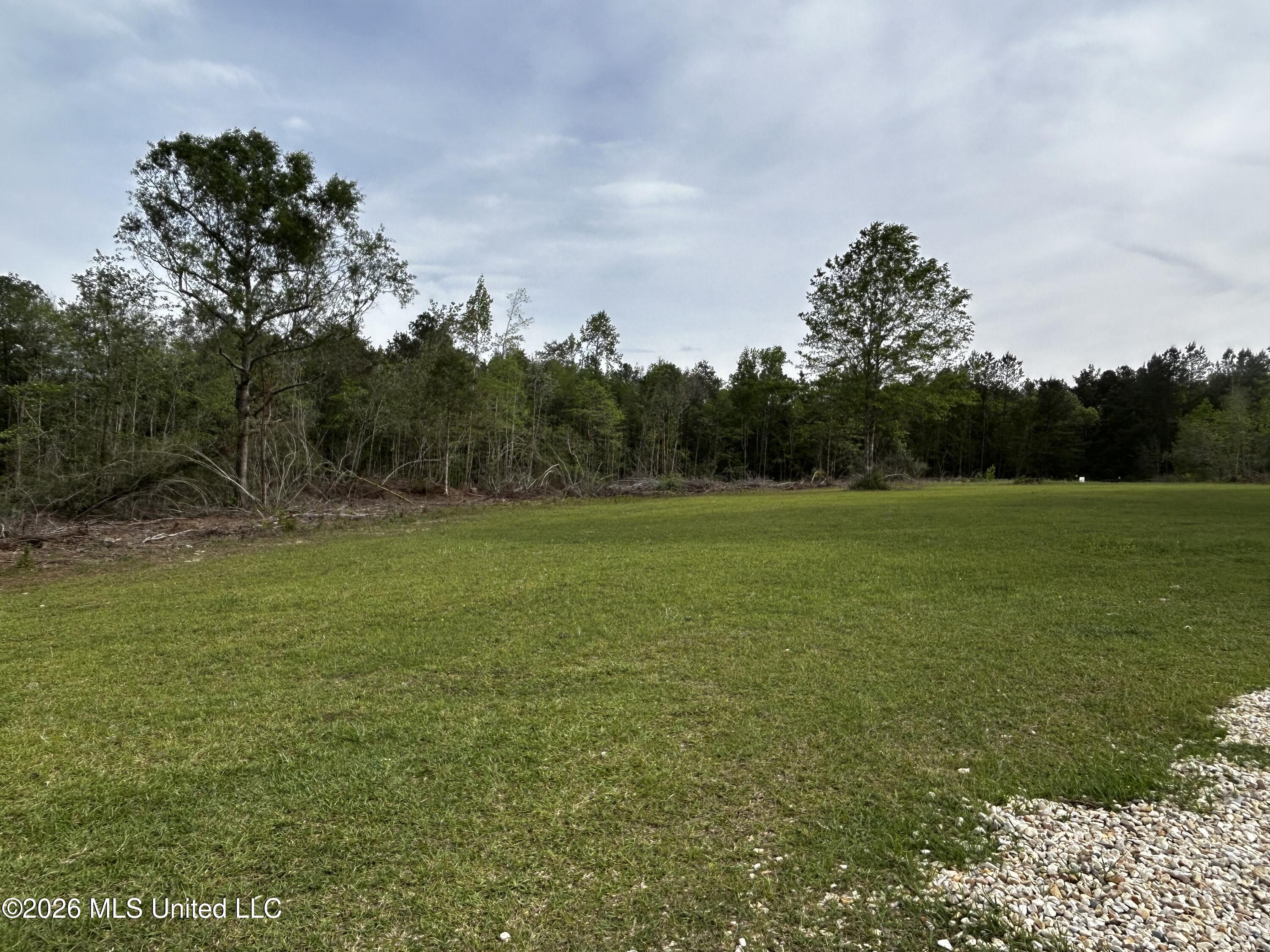141 Jimmy Reyer Road Poplarville, MS 39470 - Photo 28 of 29 IMG_4221
