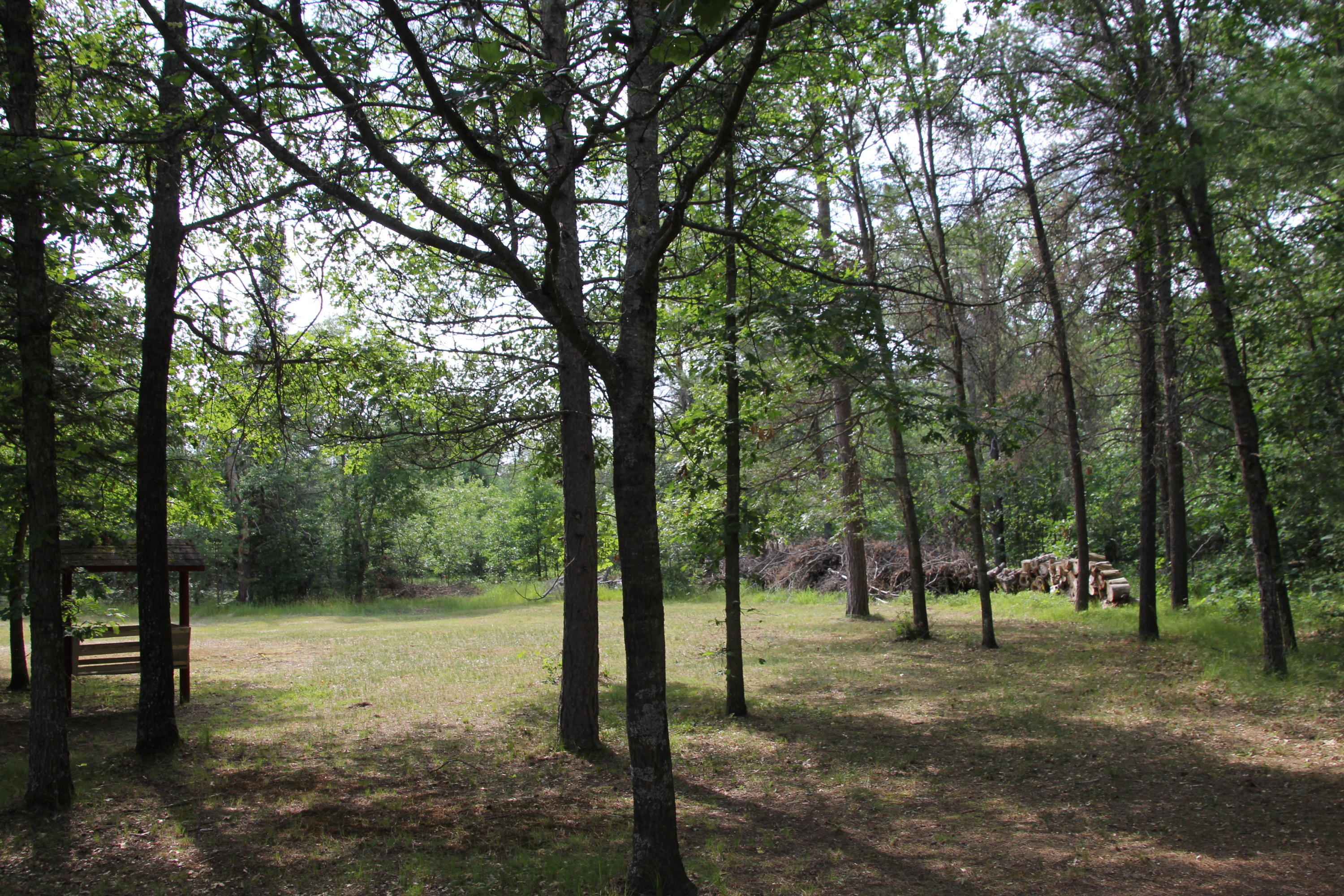 19310 Barberry Road Atlanta, MI 49709 - Photo 26 of 53 Gallery Image 26