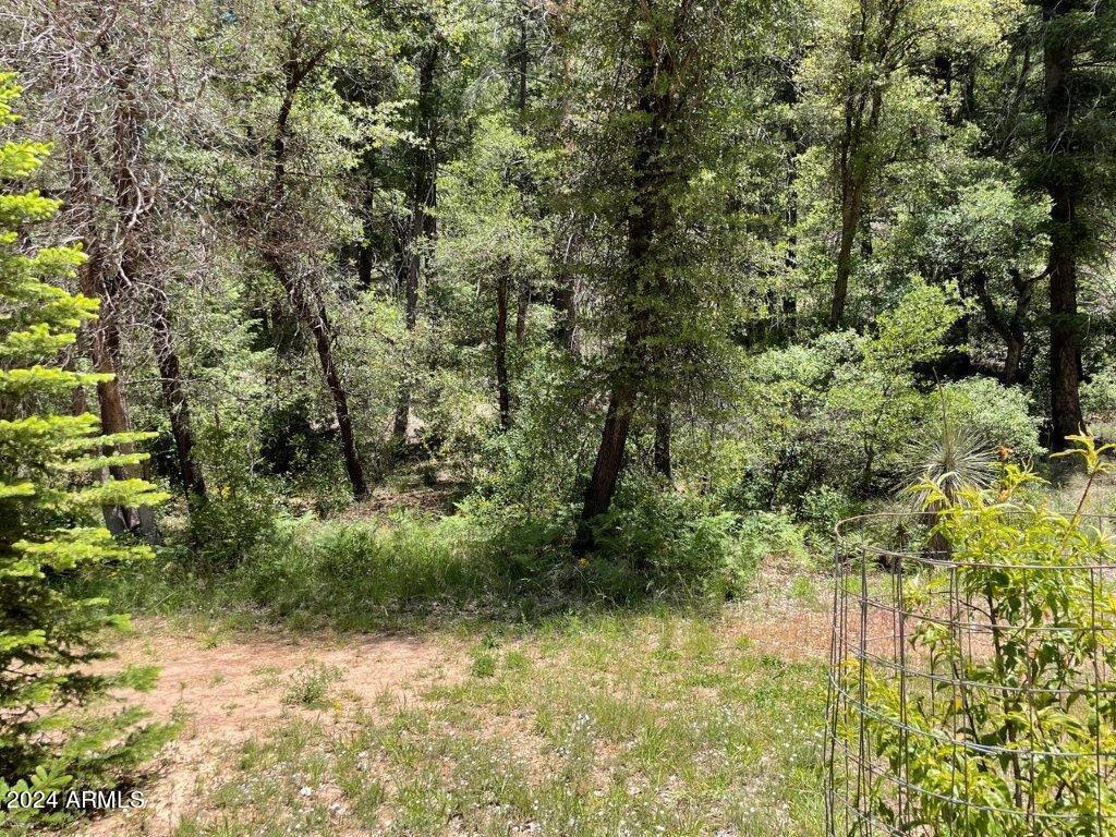 28 Bear Flat Road, Unit 28 Payson, AZ 85541 - Photo 1 of 10 1