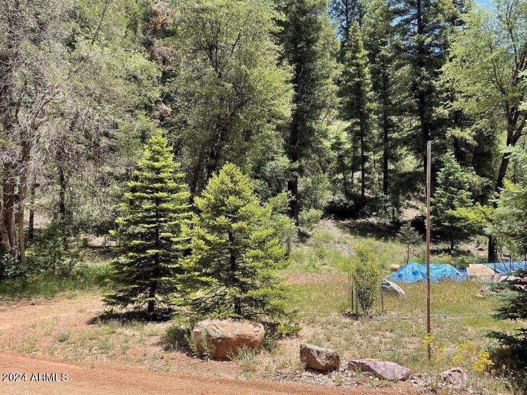 28 Bear Flat Road, Unit 28 Payson, AZ 85541 - Photo 2 of 10 2