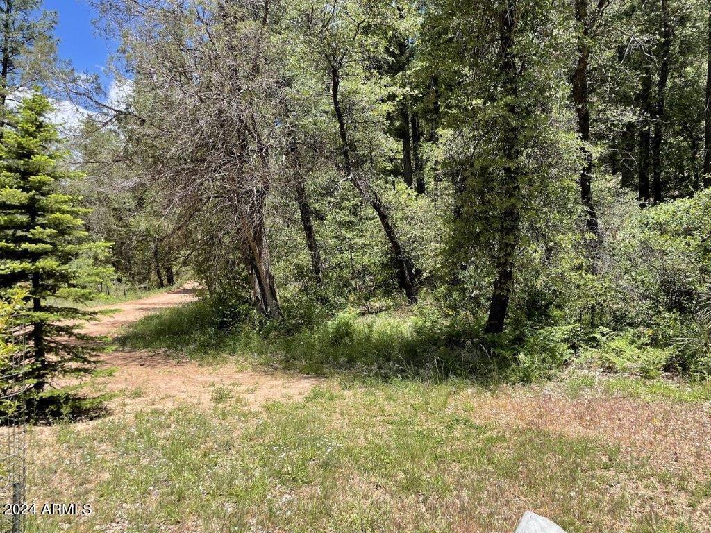 28 Bear Flat Road, Unit 28 Payson, AZ 85541 - Photo 4 of 10 4