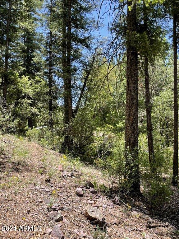 28 Bear Flat Road, Unit 28 Payson, AZ 85541 - Photo 5 of 10 5