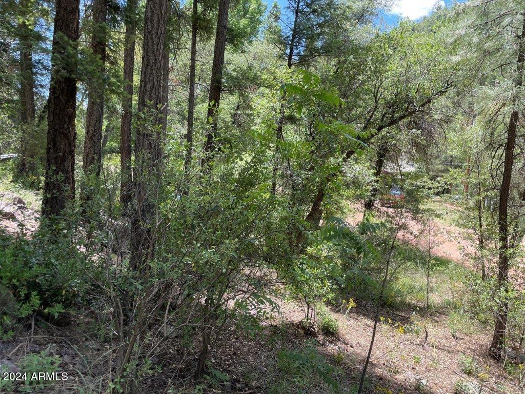28 Bear Flat Road, Unit 28 Payson, AZ 85541 - Photo 6 of 10 6