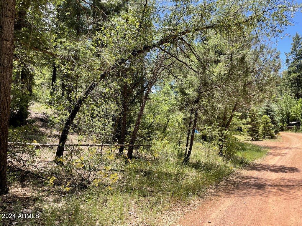 28 Bear Flat Road, Unit 28 Payson, AZ 85541 - Photo 7 of 10 7
