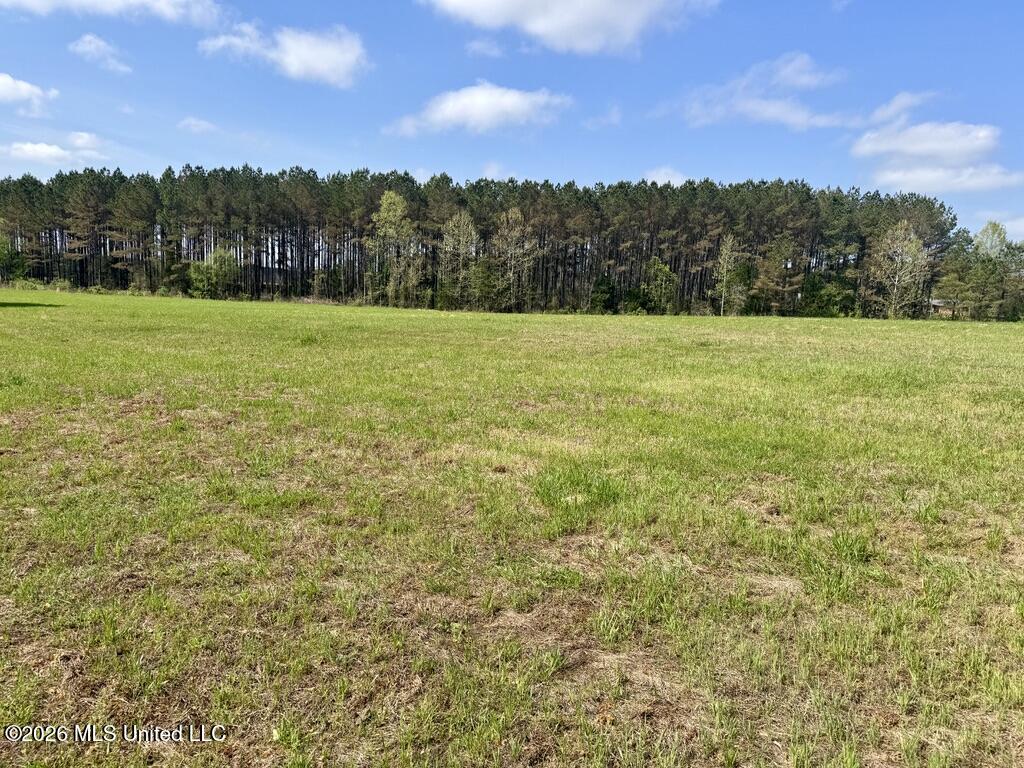 875 Stump Bridge Road Canton, MS 39046 - Photo 9 of 21 FFF5193E-04CB-4802-9603-06EF7076AA83_1_1