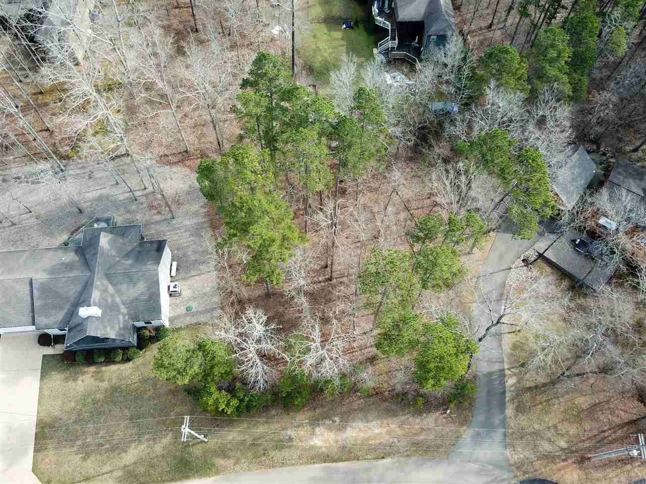 4 Rising Sun Lane Counce, TN 38326 - Photo 11 of 16 an aerial view of a house with a yard and plants