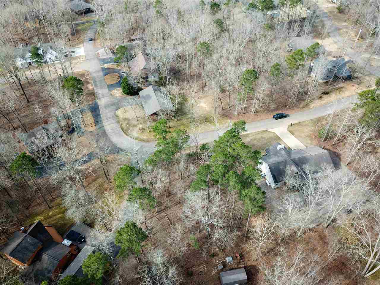 4 Rising Sun Lane Counce, TN 38326 - Photo 13 of 16 a view of a yard with plants and large trees