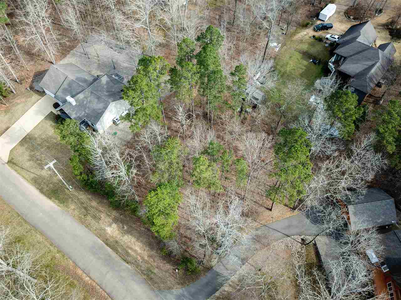 4 Rising Sun Lane Counce, TN 38326 - Photo 3 of 16 a plant with lots of trees