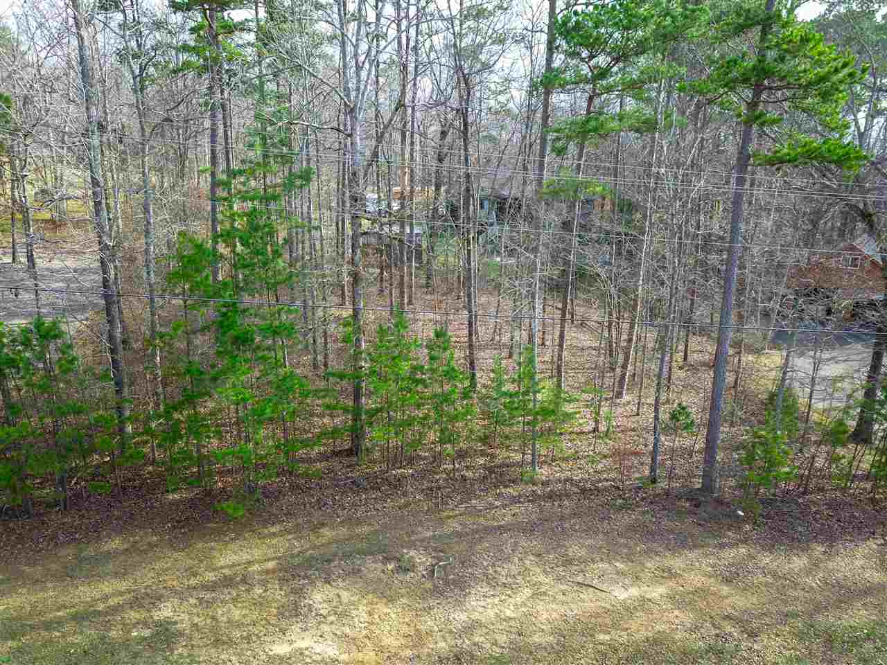 4 Rising Sun Lane Counce, TN 38326 - Photo 8 of 16 a view of a yard with plants and trees
