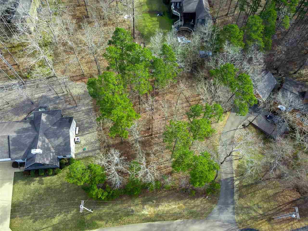 4 Rising Sun Lane Counce, TN 38326 - Photo 9 of 16 a view of a garden with a fountain
