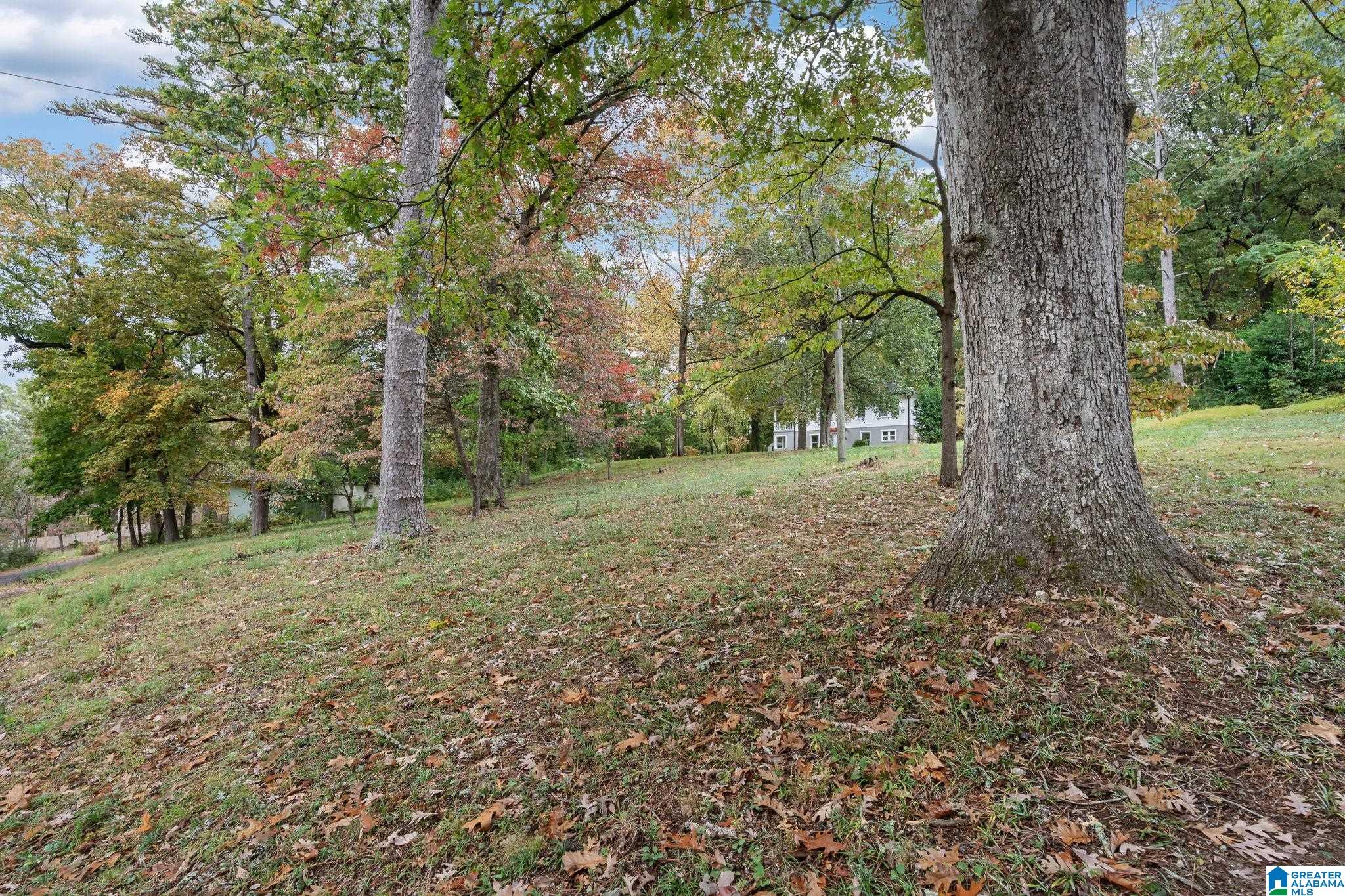 686 Ridge Top Circle Birmingham, AL 35206 - Photo 32 of 36