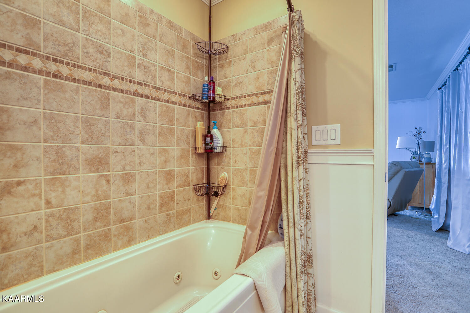 384 Hilltop Road Spring City, TN 37381 - Photo 11 of 32 384 Hilltop Cir. Spr City MLSb (31 of 8