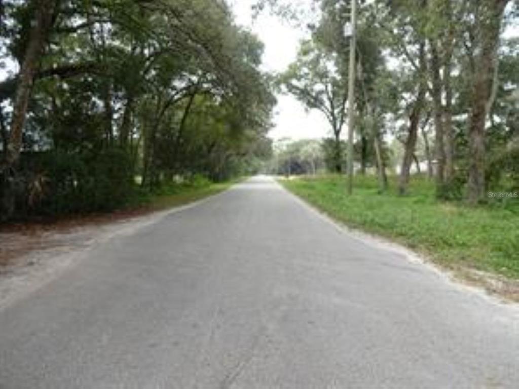 610 Burnsed Road Pierson, FL 32180 - Photo 7 of 14