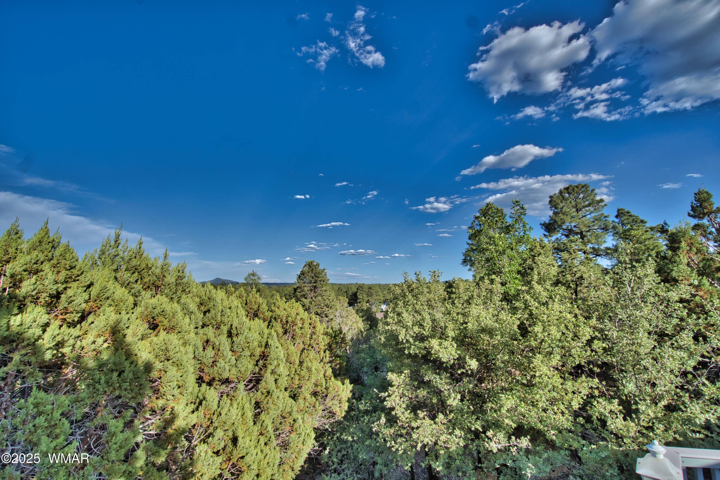 180 Timber Ridge Loop Show Low, AZ 85901 - Photo 49 of 61 Mountain Views