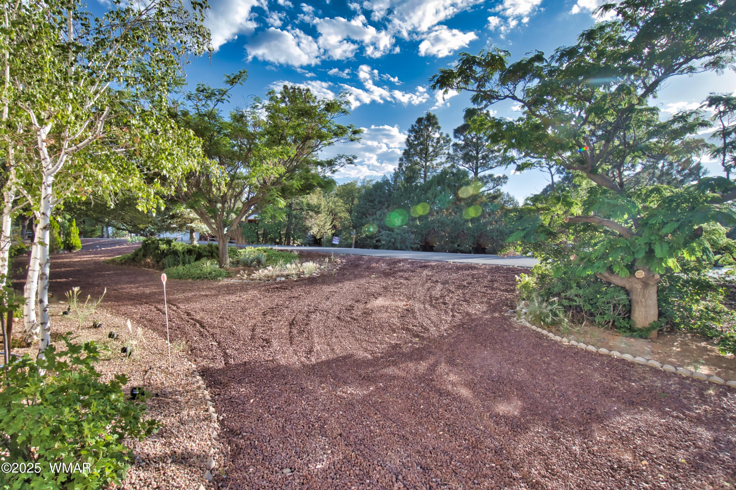 180 Timber Ridge Loop Show Low, AZ 85901 - Photo 57 of 61 Driveway