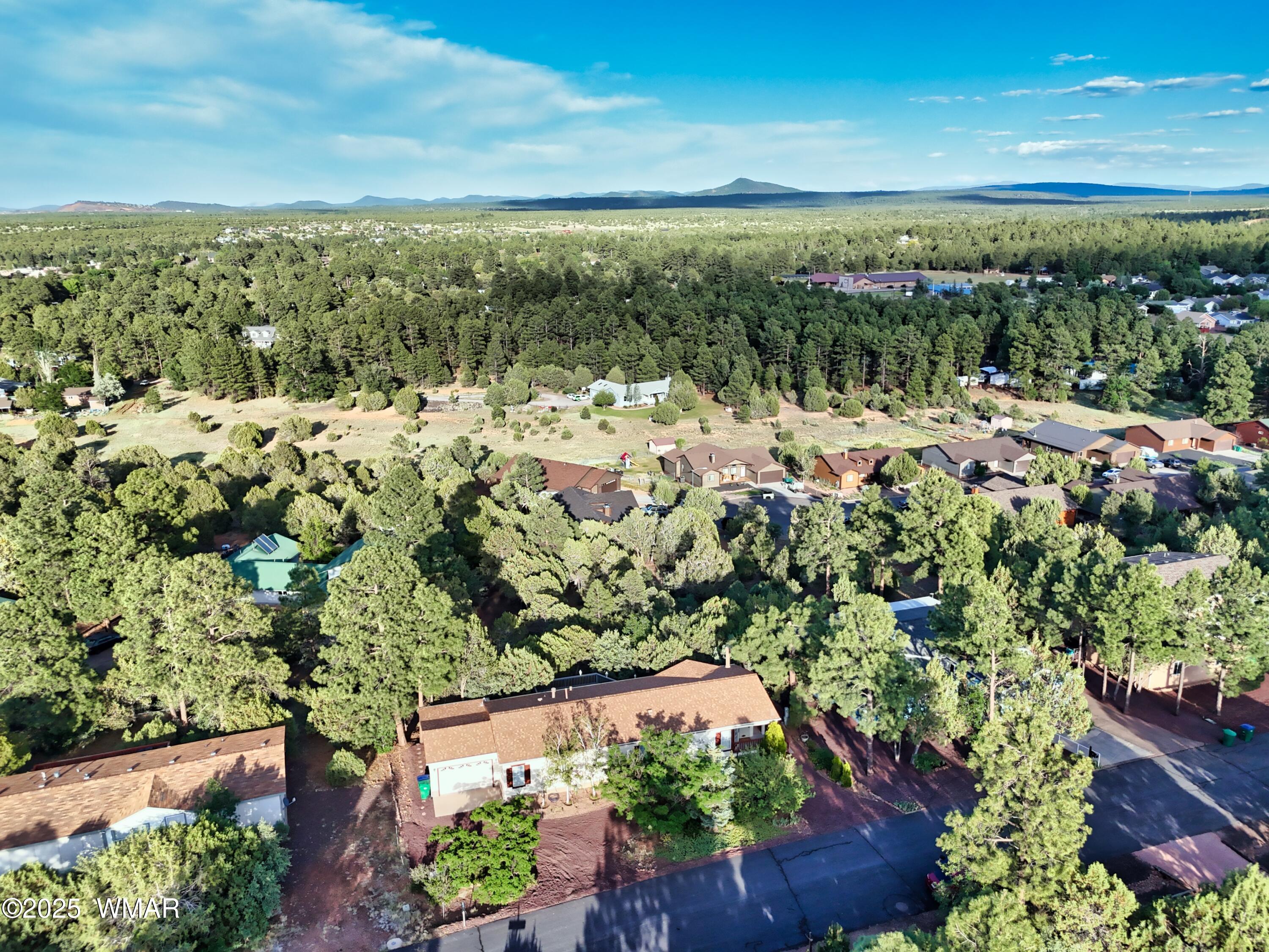 180 Timber Ridge Loop Show Low, AZ 85901 - Photo 60 of 61 Aerial