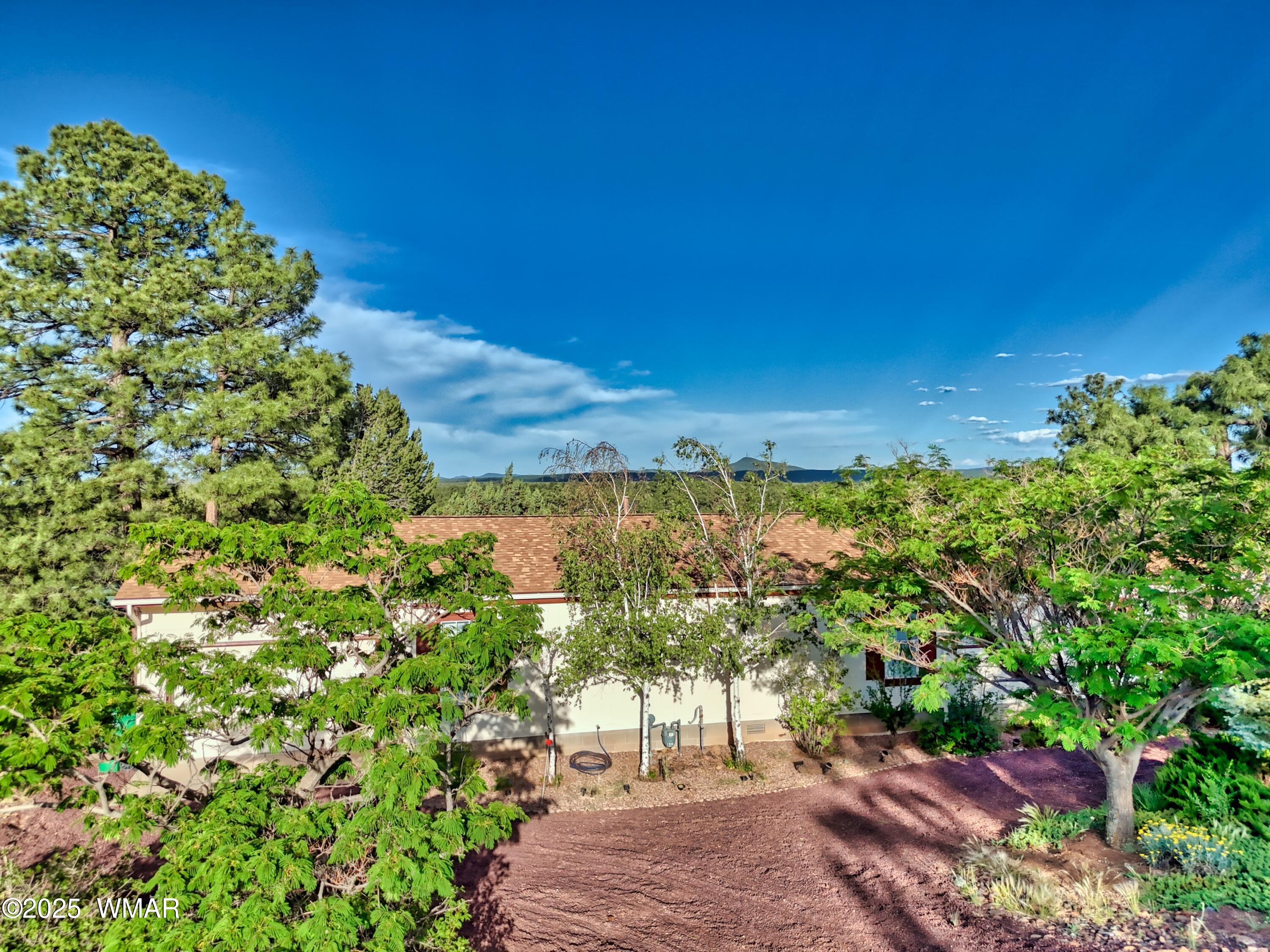 180 Timber Ridge Loop Show Low, AZ 85901 - Photo 7 of 61 DJI_20240610175810_0570_D