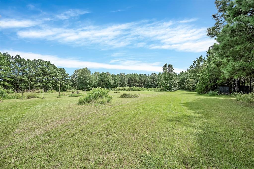 368 Sneed Road Waskom, TX 75692 - Photo 13 of 18