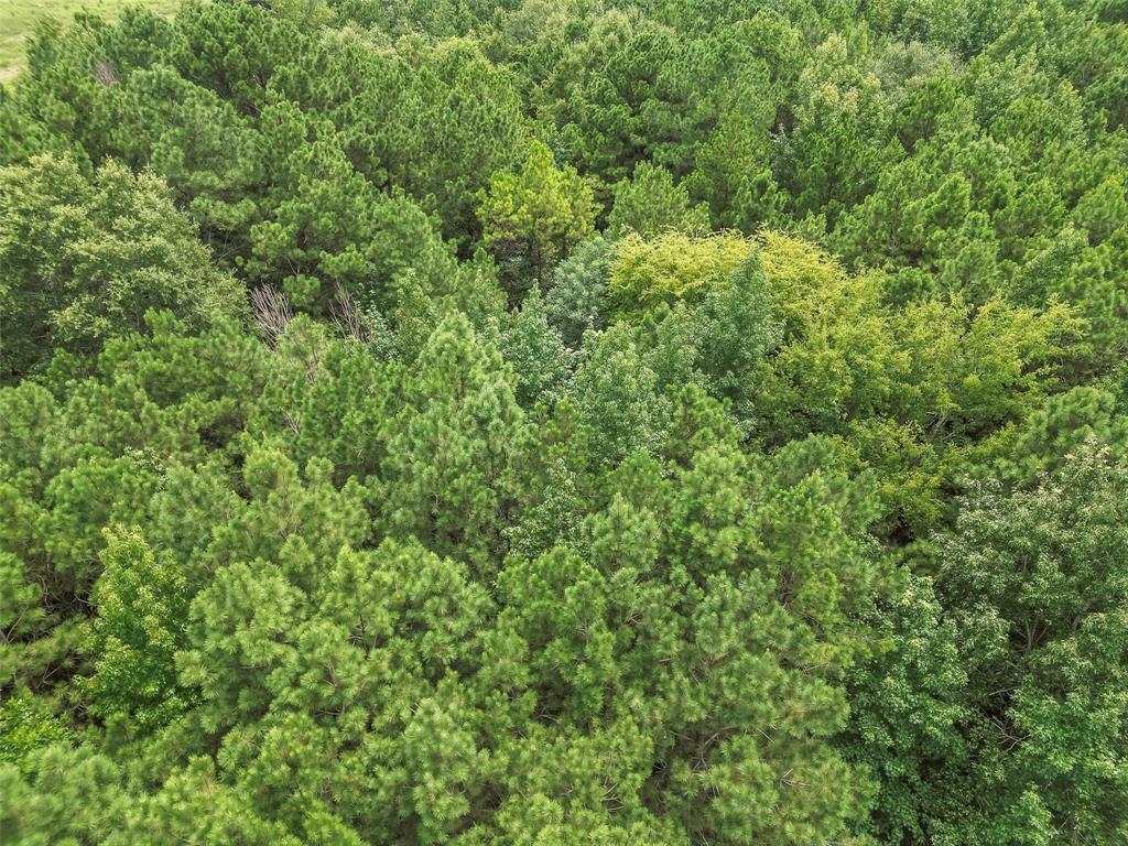 368 Sneed Road Waskom, TX 75692 - Photo 16 of 18