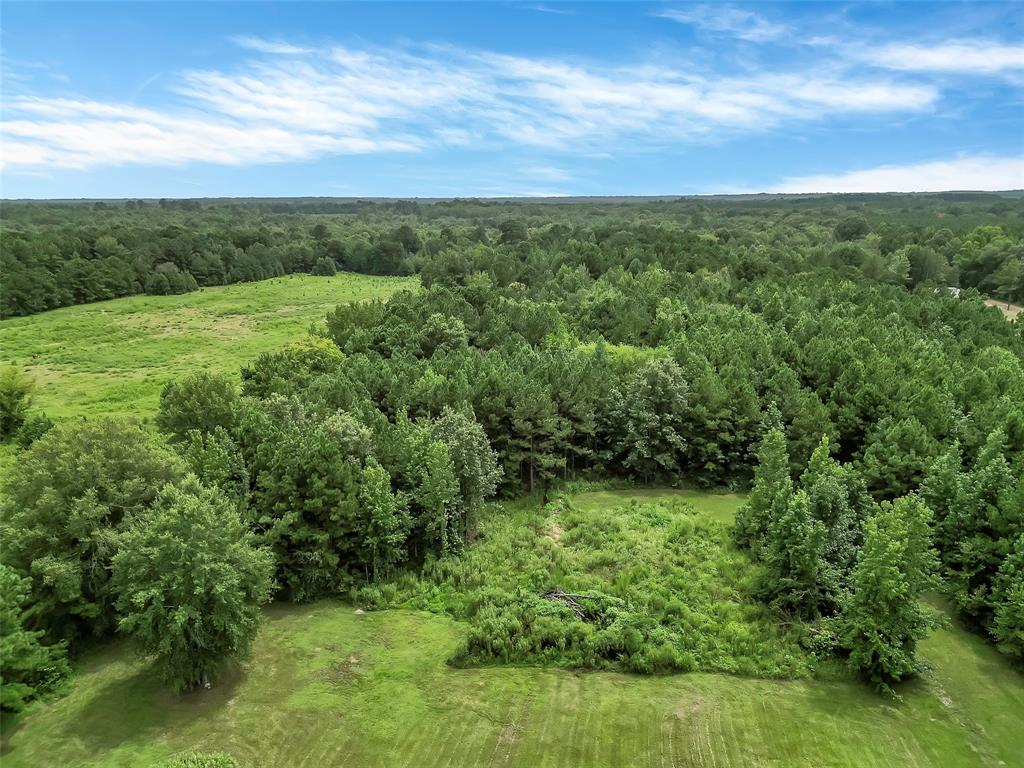 368 Sneed Road Waskom, TX 75692 - Photo 18 of 18