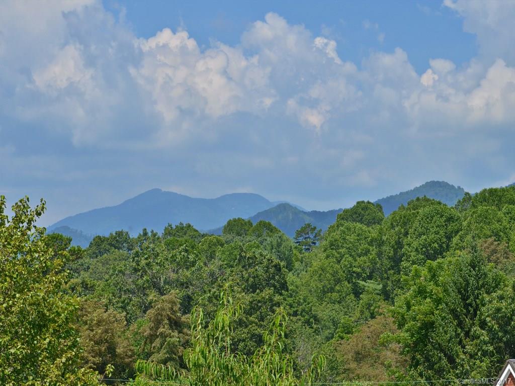 141 Ingram Loop Clyde, NC 28721 - Photo 16 of 16 a view of a bunch of trees in a field