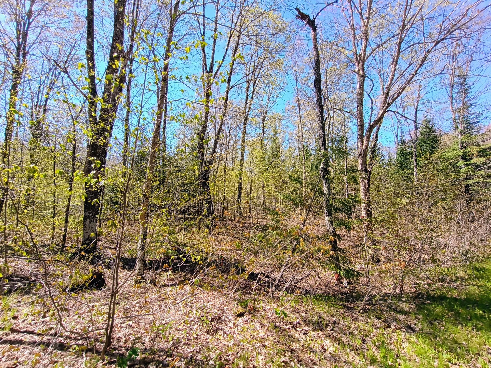 40-ac On Nig Rein Road, Unit 40 AC Glidden, WI 54527 - Photo 24 of 26 Gallery Image 24