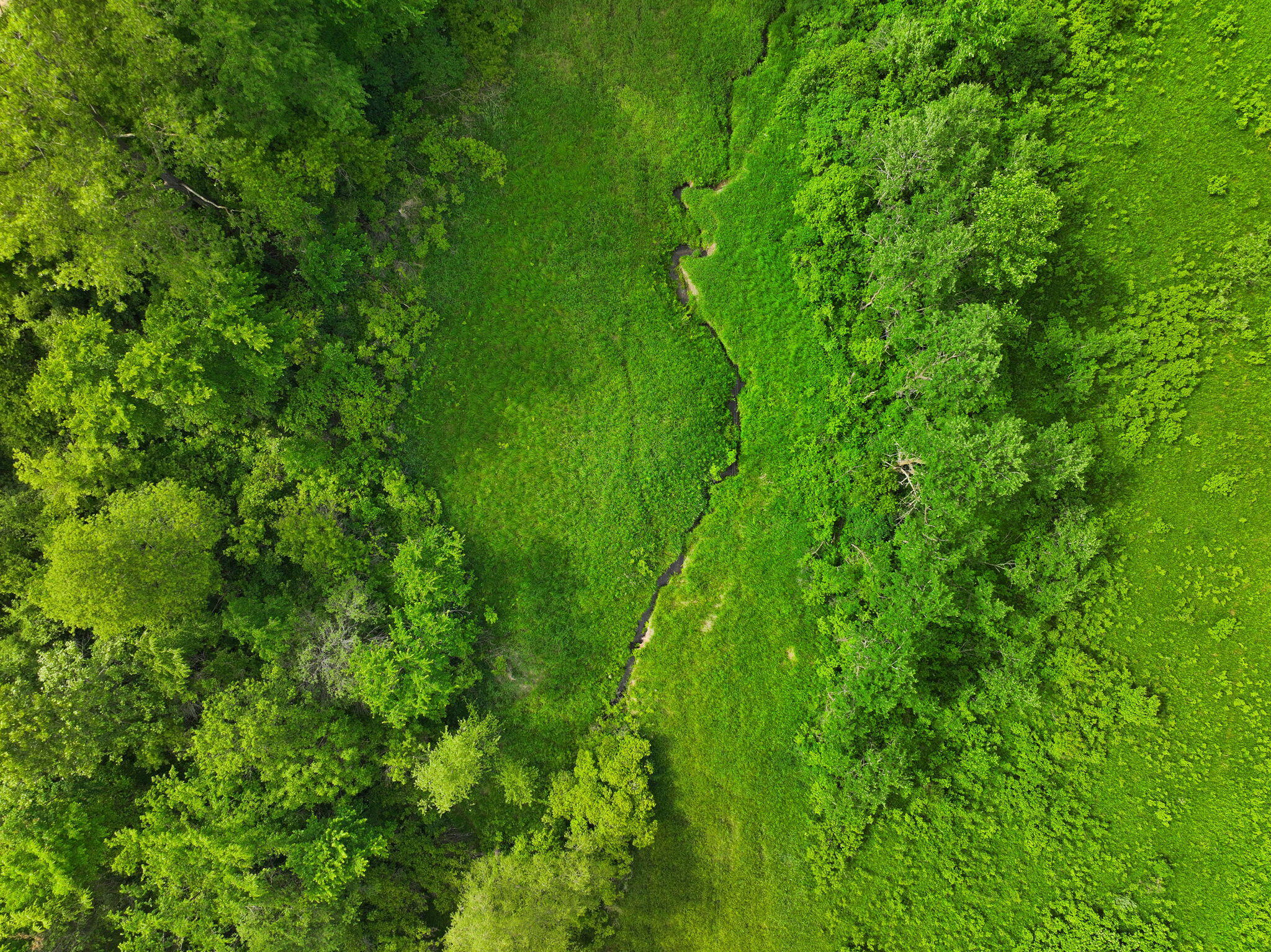 0 County Road West Holmen, WI 54636 - Photo 11 of 17 11-web-or-mls-DJI_20260605172913_0310_D