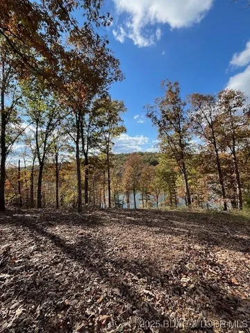 $3,589,900 | 26450 Eagle Point Road, Unit (1415 47' LAKE FRONT), Barnett, MO 65011