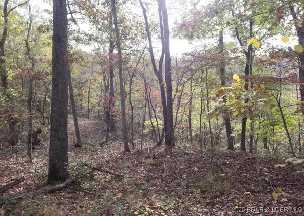 $3,589,900 | 26450 Eagle Point Road, Unit (1415 47' LAKE FRONT), Barnett, MO 65011