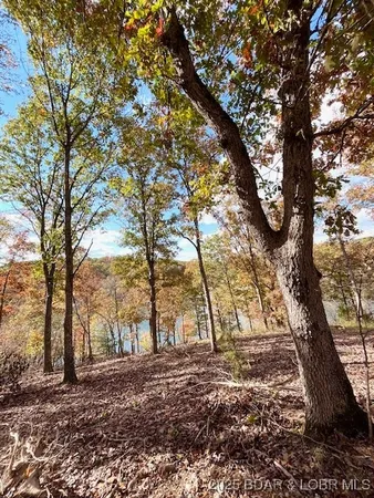 $3,589,900 | 26450 Eagle Point Road, Unit (1415 47' LAKE FRONT), Barnett, MO 65011