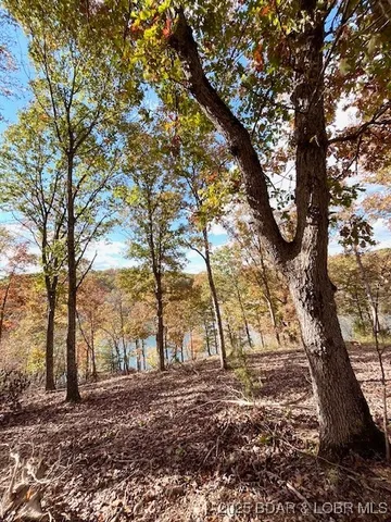 $3,589,900 | 26450 Eagle Point Road, Unit (1415 47' LAKE FRONT), Barnett, MO 65011