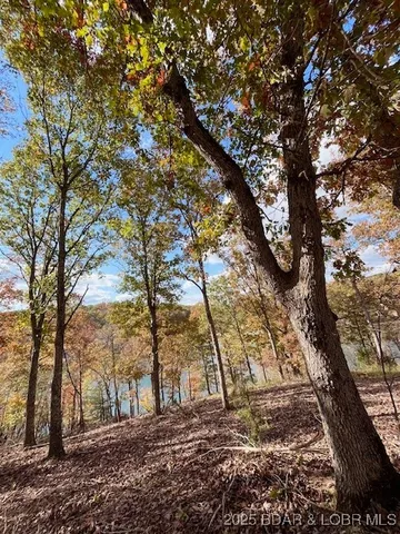 $3,589,900 | 26450 Eagle Point Road, Unit (1415 47' LAKE FRONT), Barnett, MO 65011