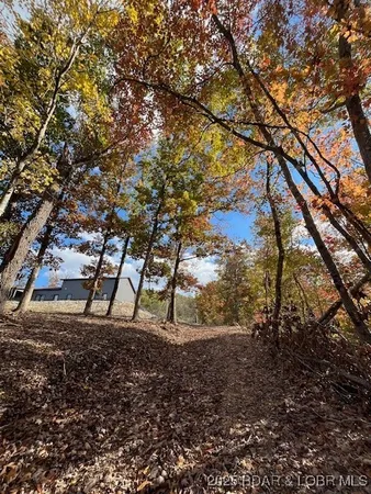 $3,589,900 | 26450 Eagle Point Road, Unit (1415 47' LAKE FRONT), Barnett, MO 65011