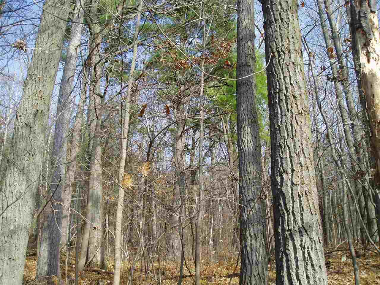 Near County Rd WW Wausau, WI 54403 - Photo 1 of 1