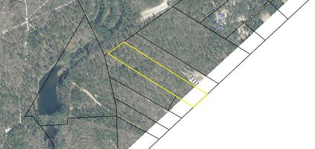 0 Springfield Church Road Trenton, SC 29847 - Photo 2 of 2