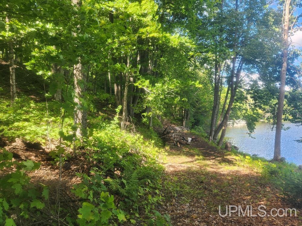 Tbd West Tamarack Lake Road, Unit LOT 5 Watersmeet, MI 49969 - Photo 44 of 66